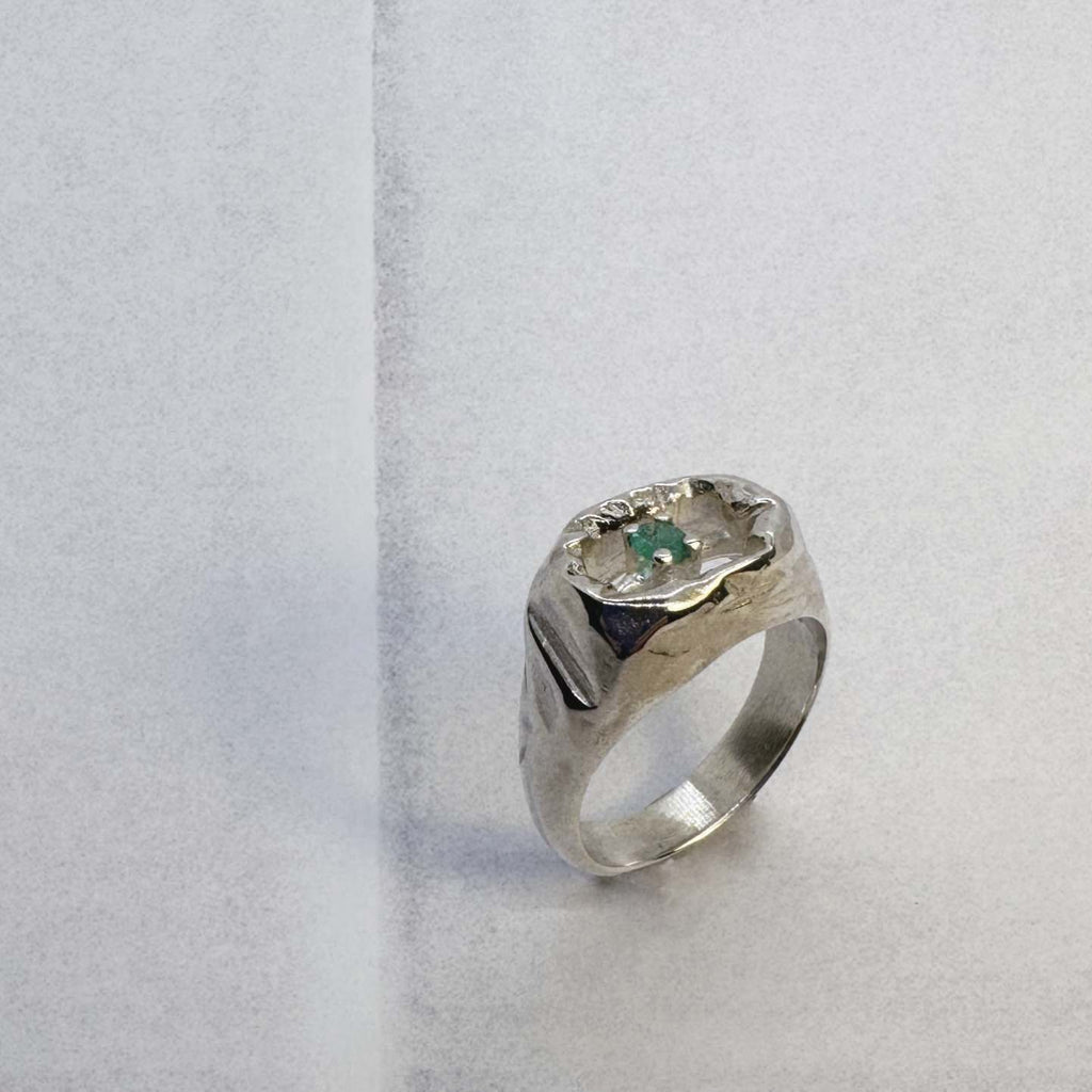FR.021 / Fragmentary ring collection