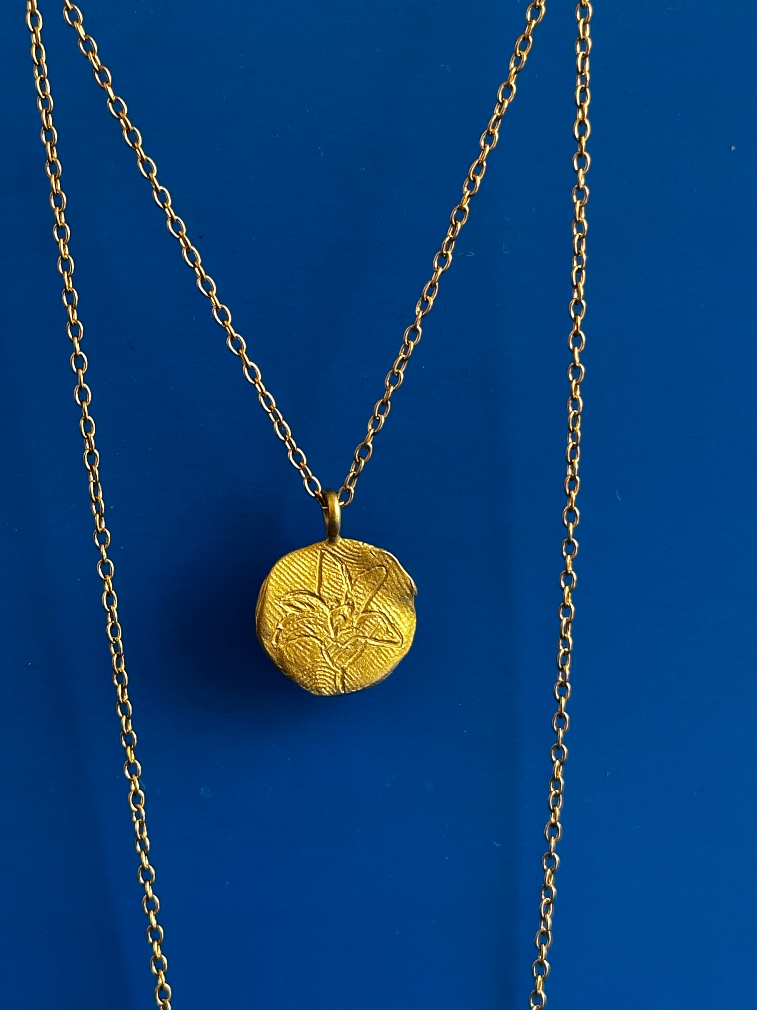Campainha Nº 10 / Flores silvestres portuguesas