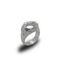 FR.011 / Fragmentary ring collection